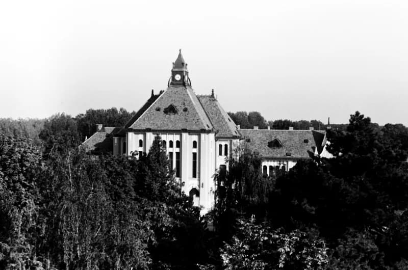 Magyarkanizsa: áruház, főutca, városháza