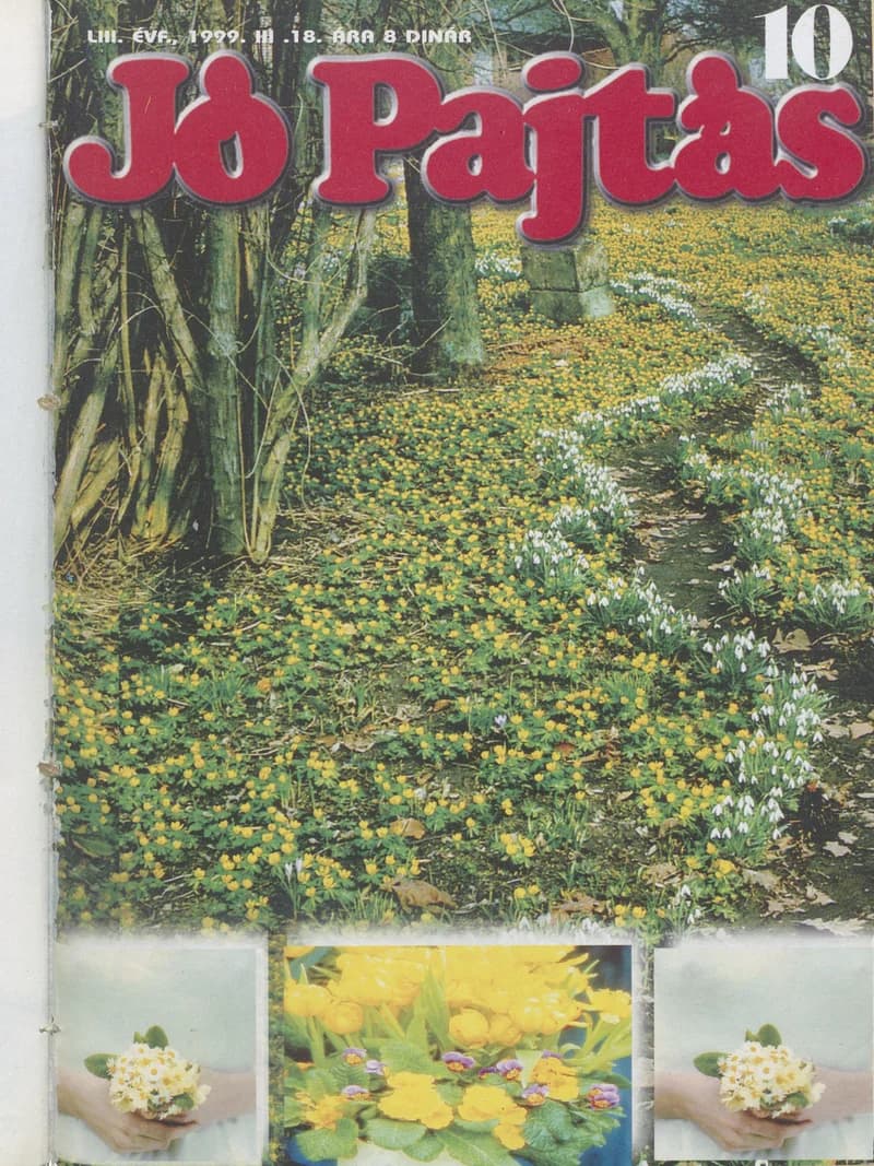 Jó Pajtás, 53. évf. 1999. március 18. 10. sz.