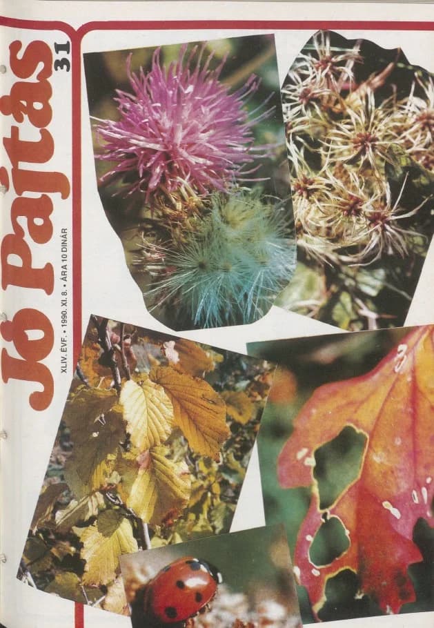 Jó Pajtás, 44. évf. 1990. november 8. 31. sz.