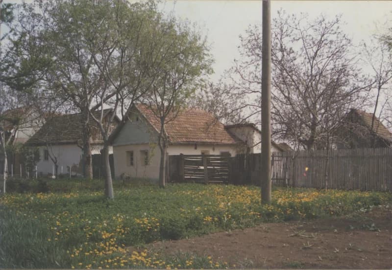 Falukép Hertelendyfalva