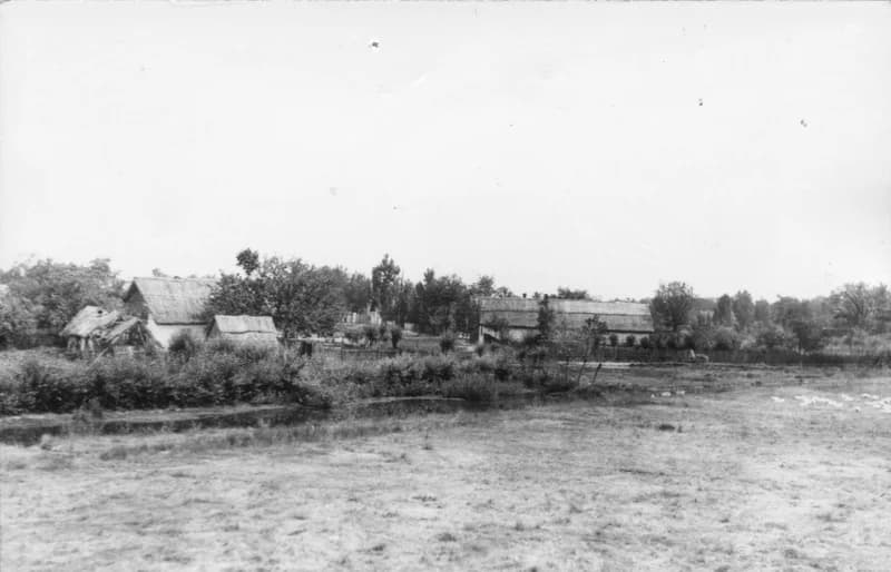 Temerin - Kastély utca vége