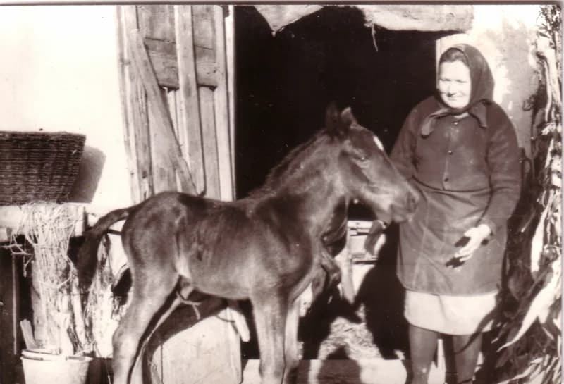 Krisztina a kiscsikóval