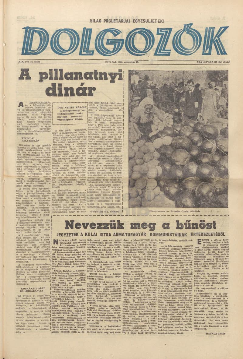 Dolgozók, 20. évf. 1966. augusztus 19. 34. sz.