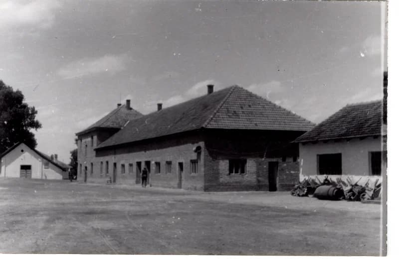 Az écskai halgazdaság