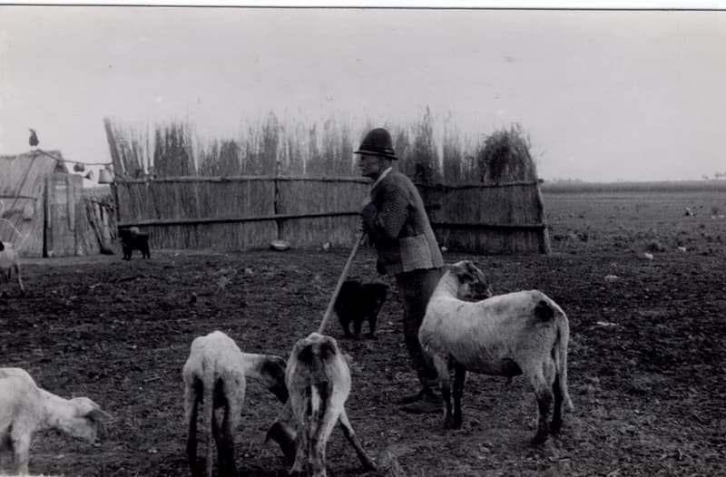 Német György juhász