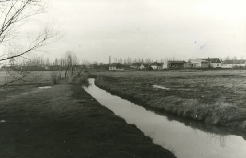 A nyugati bikaistálló mögötti legelő