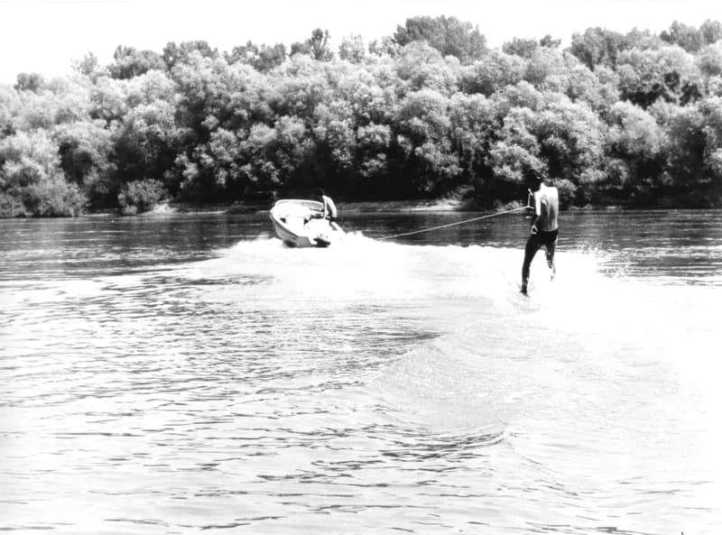 A Fehér család és barátaik a zentai Tisza-parton a "Halászcsárdánál"  