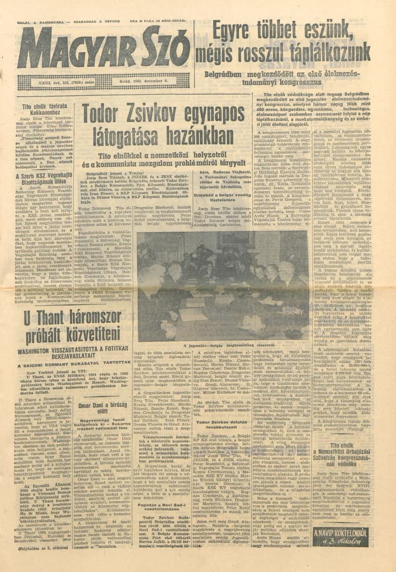Magyar Szó, 23. évf. 1966. december 6. 333. sz.