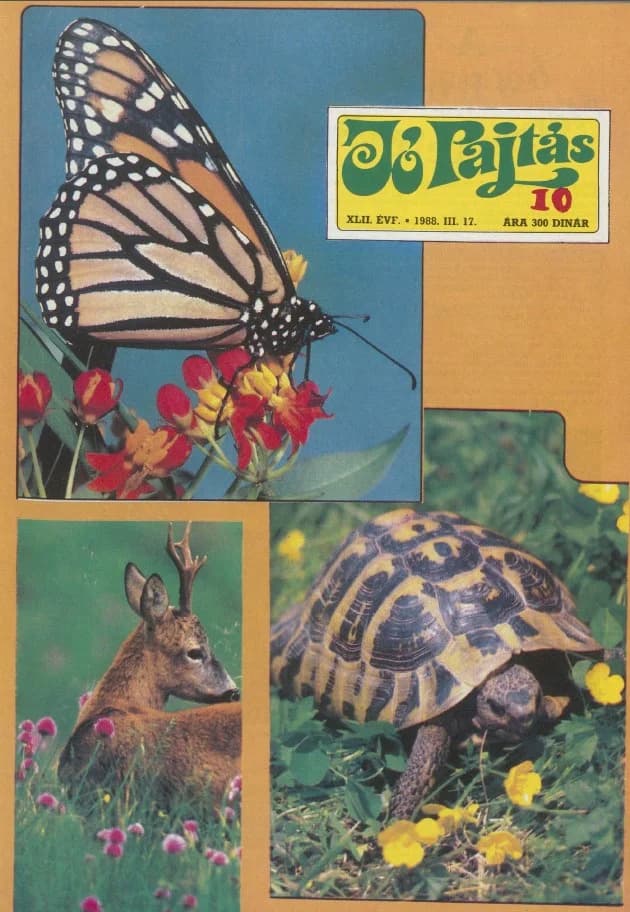 Jó Pajtás, 42. évf. 1988. március 17. 10. sz.