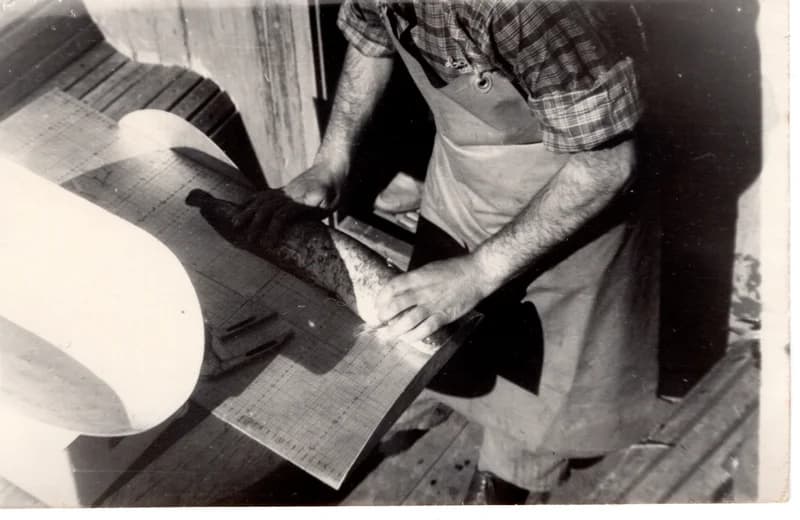 Halászszövetségi tevékenység -  harcsamérés