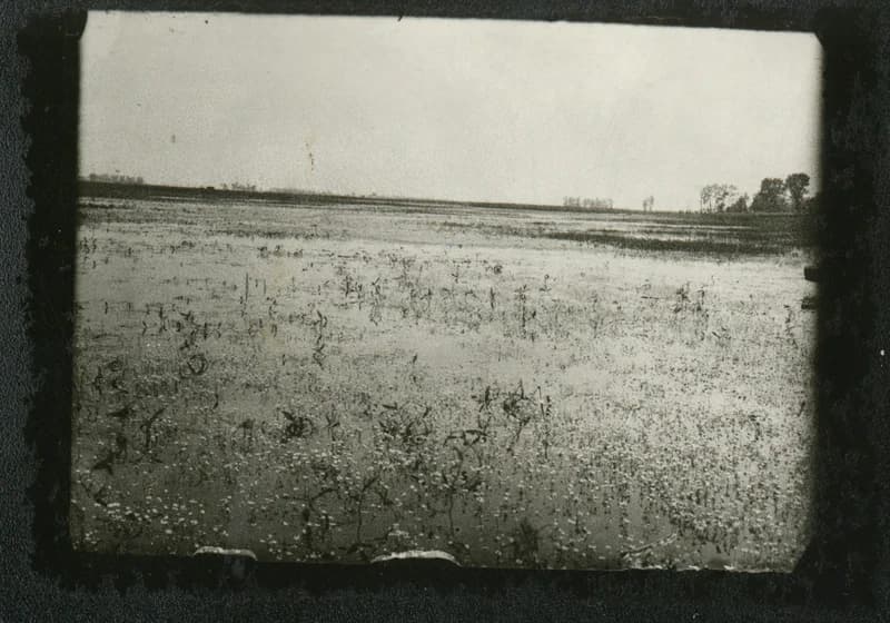 A Jegricska árterülete