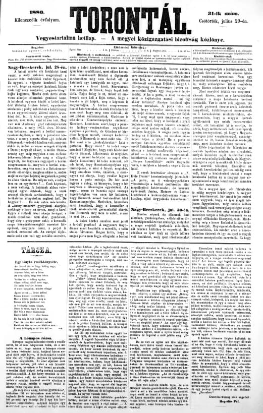 Torontál, 9. évf. 1880. július 29. 31. sz.