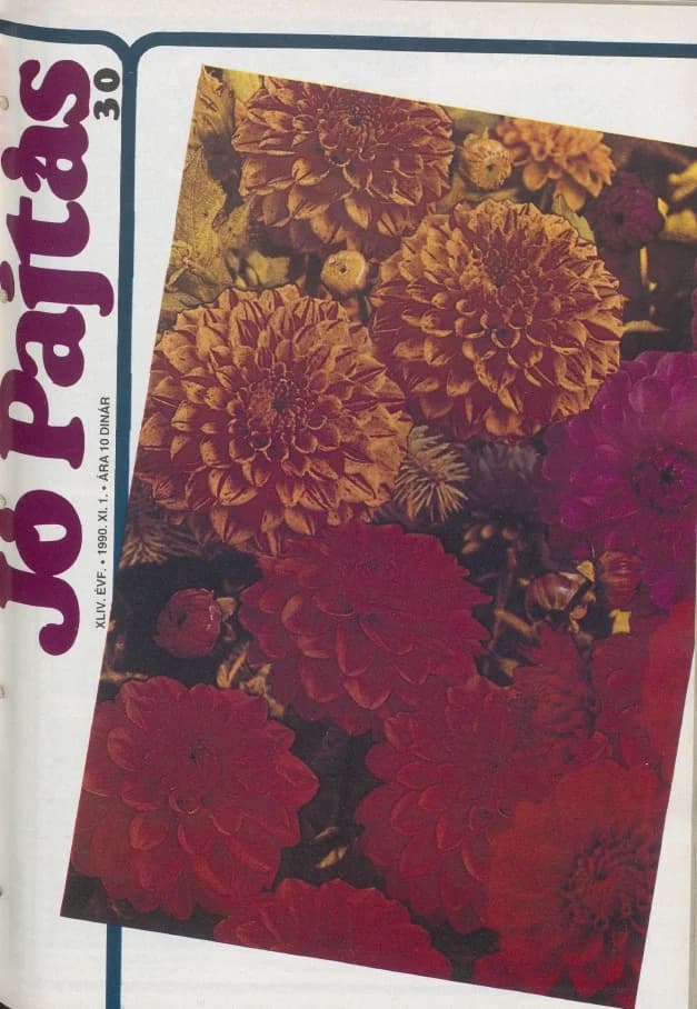 Jó Pajtás, 44. évf. 1990. november 1. 30. sz.