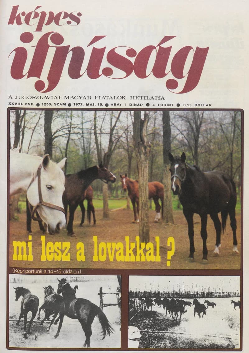 Képes Ifjúság, 28. évf. 1972. május 10. 1250. sz.
