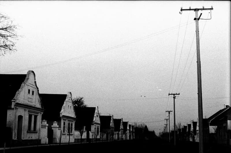 A Bartók Béla Művelődési Egyesületben