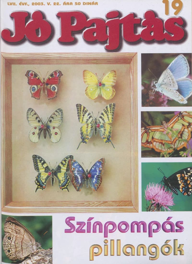 Jó Pajtás, 57. évf. 2003. május 22. 19. sz.
