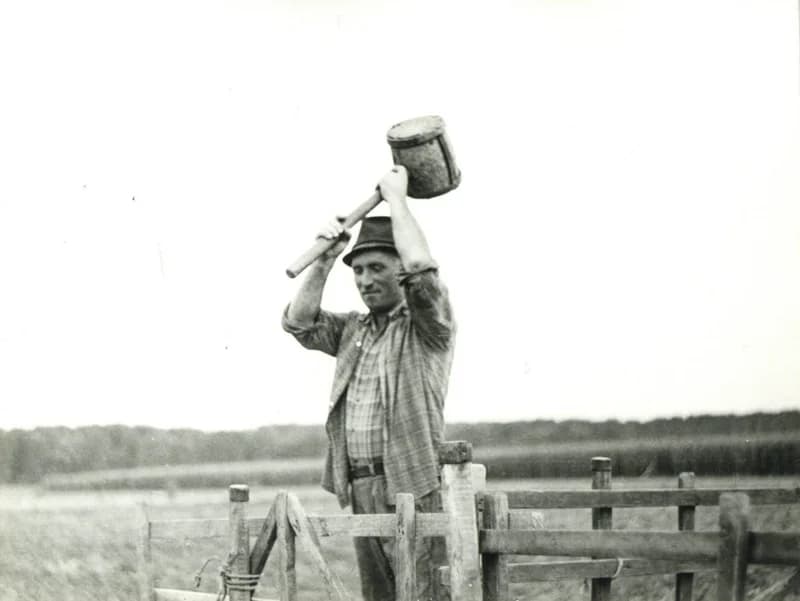 Birkasorompó leverése szilfából készült sulyokkal