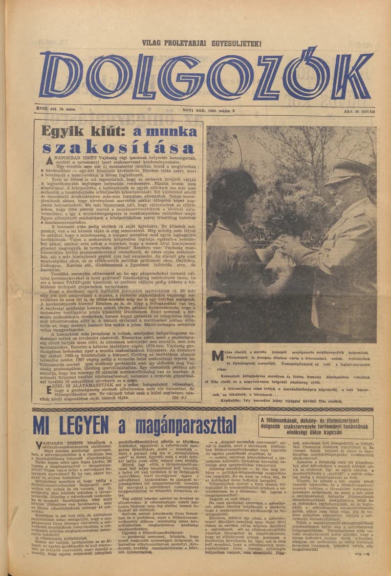 Dolgozók, 18. évf. 1964. május 8. 18. sz.