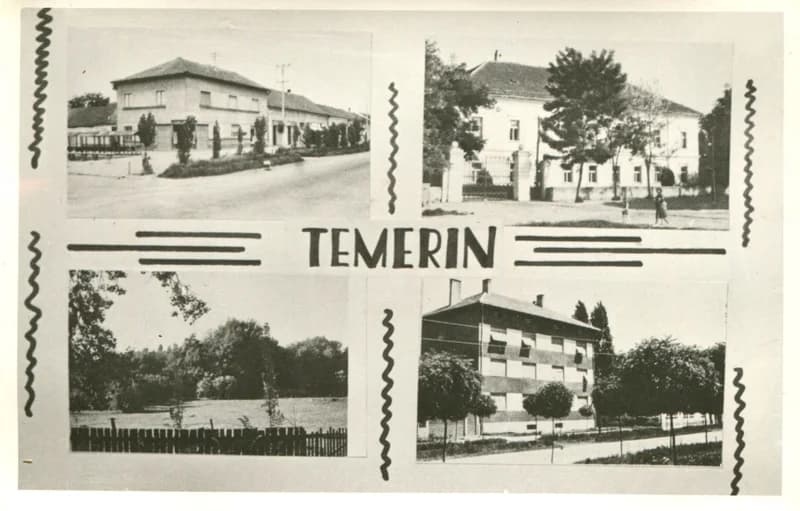 Temerin