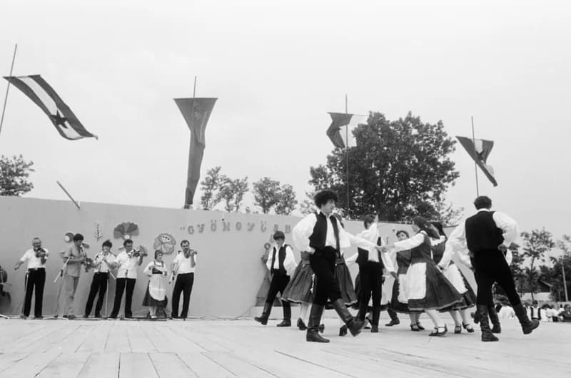 XX. Durindó - Gyöngyösbokréta