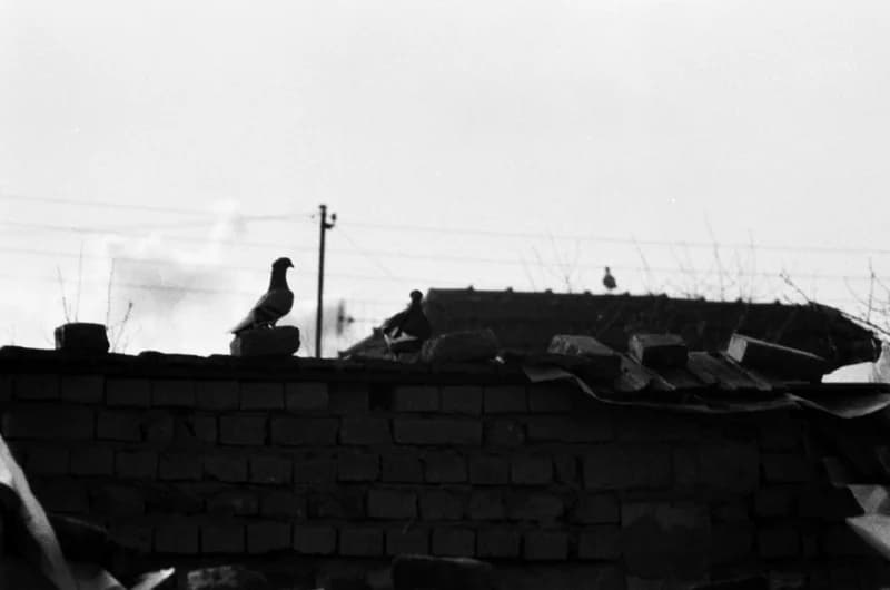 Település a Zorka gyárnál