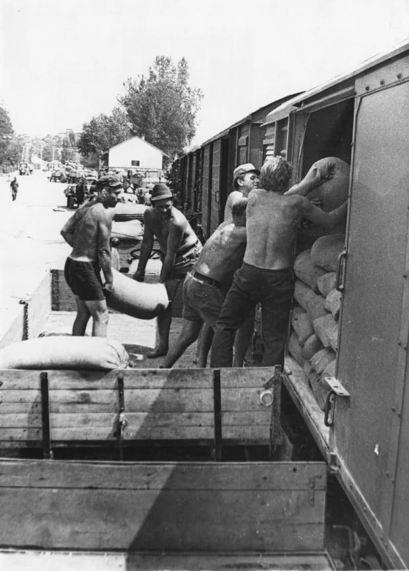 Fizikai munkások a temerini vasútállomáson