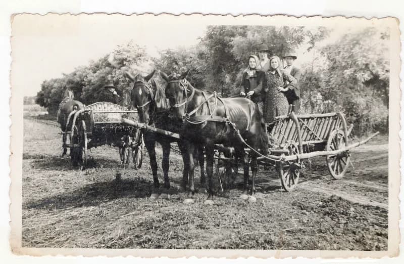 Társaság lovaskocsin