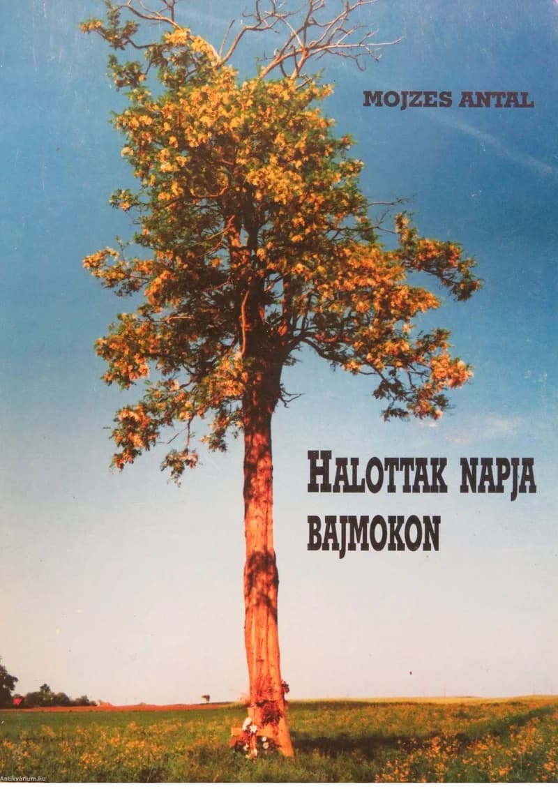 Halottak napja Bajmokon