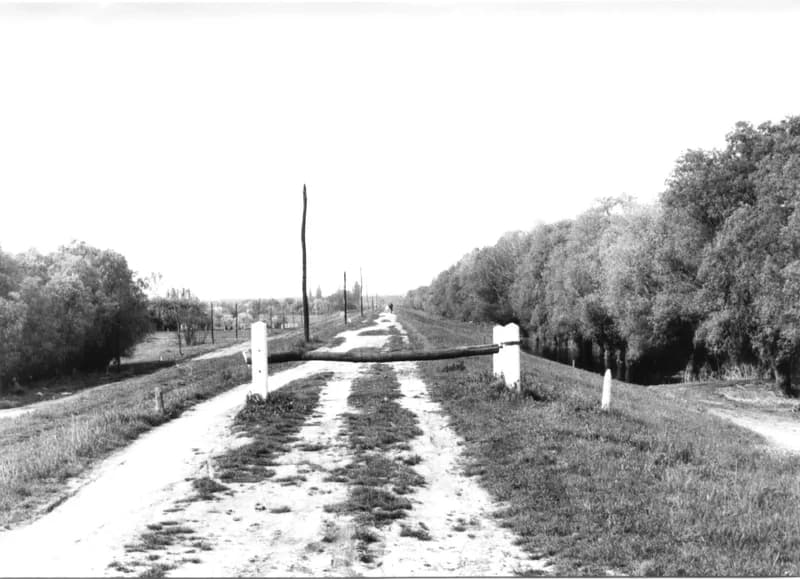 A tiszai töltés Zentán