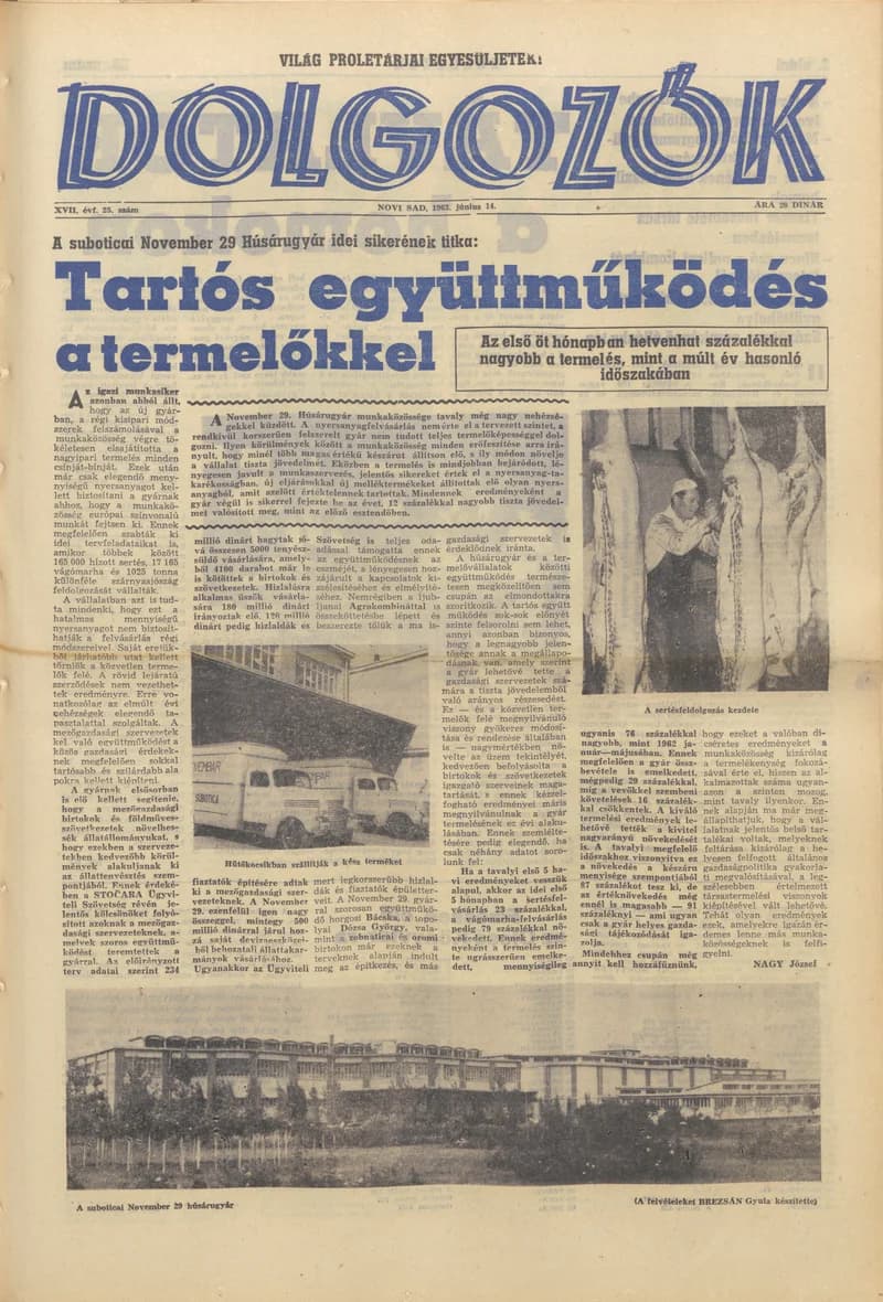 Dolgozók, 17. évf. 1963. június 14. 25. sz.