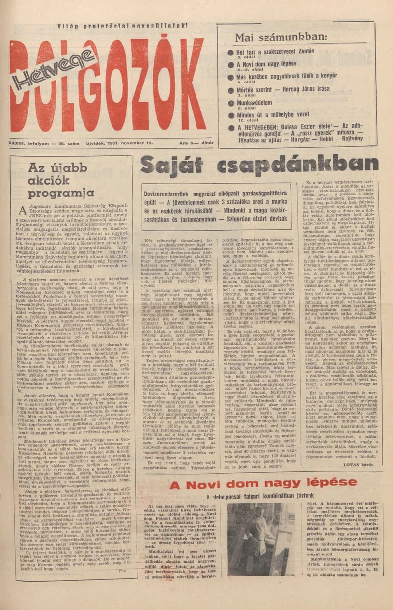 Dolgozók, 35. évf. 1981. november 19. 46. sz.
