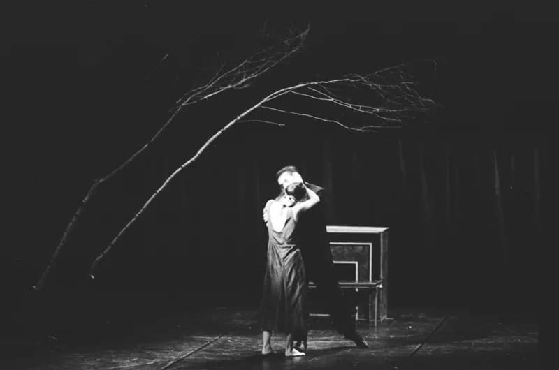 A Párizsi Jel Színház előadása: A hét rinocéroszbőr