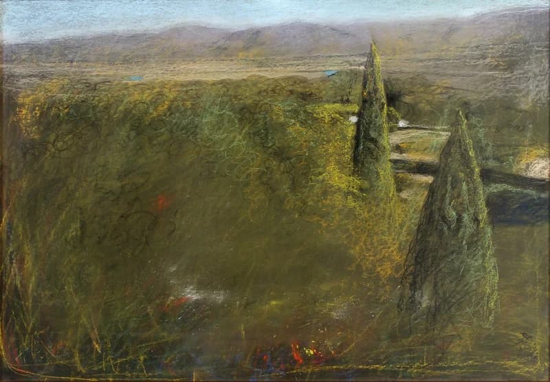 Provence-i táj cédrusokkal