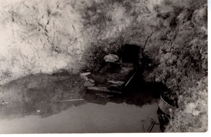 Az écskai halgazdaság - ívóhely