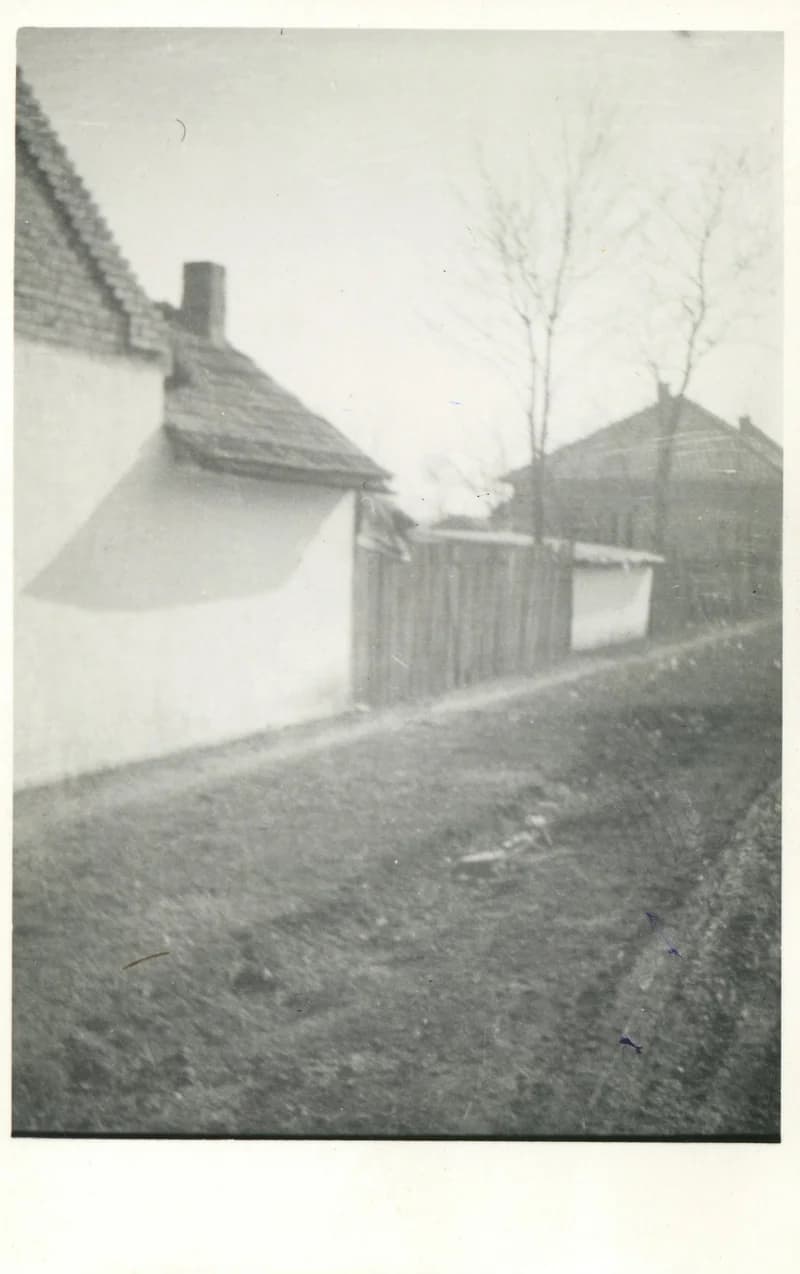 Az állatorvos utcája (Moiskó-ház)