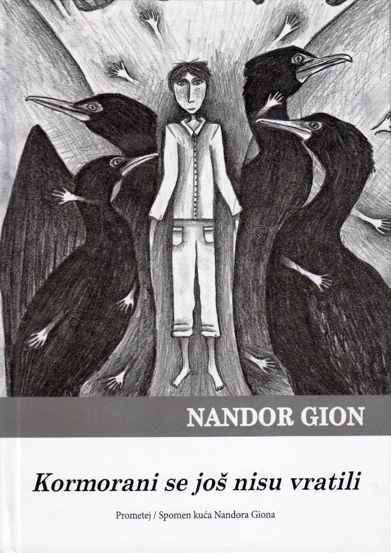 Kormorani se još nisu vratili 