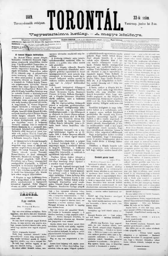 Torontál, 18. évf. 1889. június 2. 22. sz.