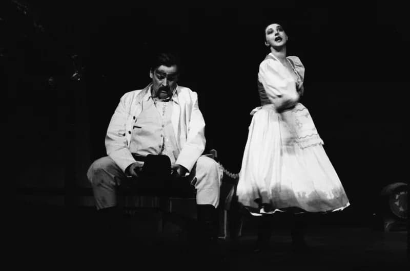 Tóth E.: A falu rossza, avagy a negyedik ablak /r.: Hernyák Gy./