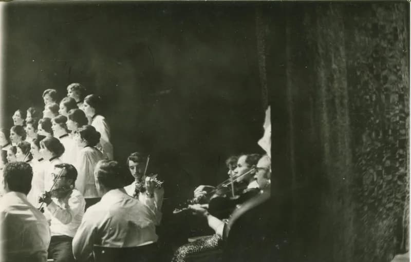 IV. Dél-bánáti Szemle