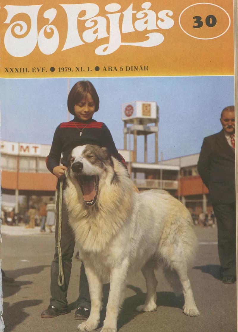 Jó Pajtás, 33. évf. 1979. november 1. 30. sz.