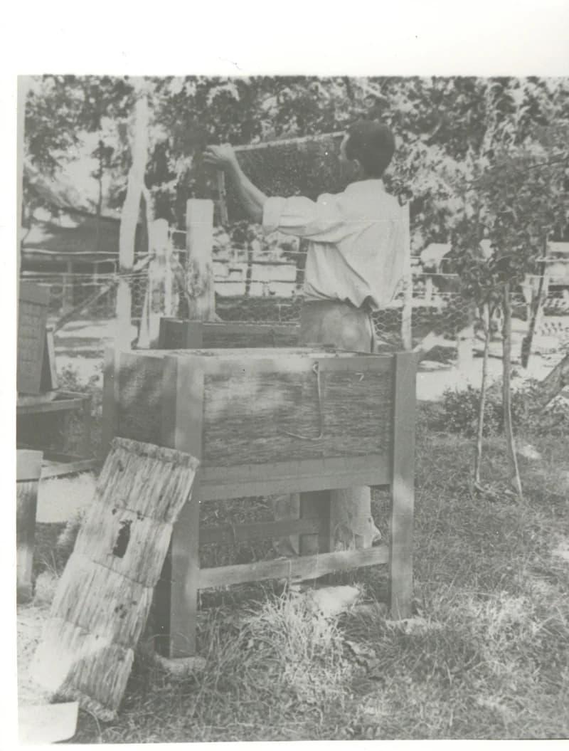 Ökrész méhészkedik