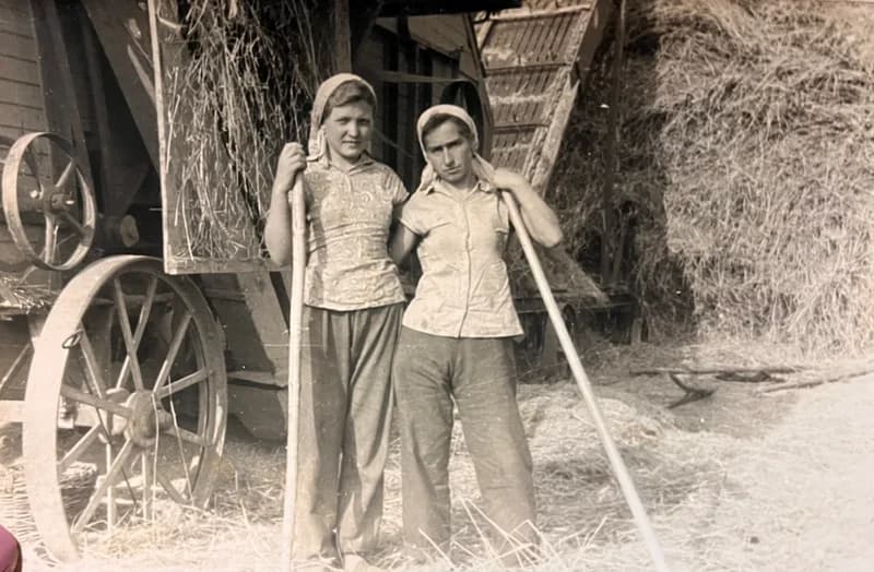 Nők a cséplőgép mellett