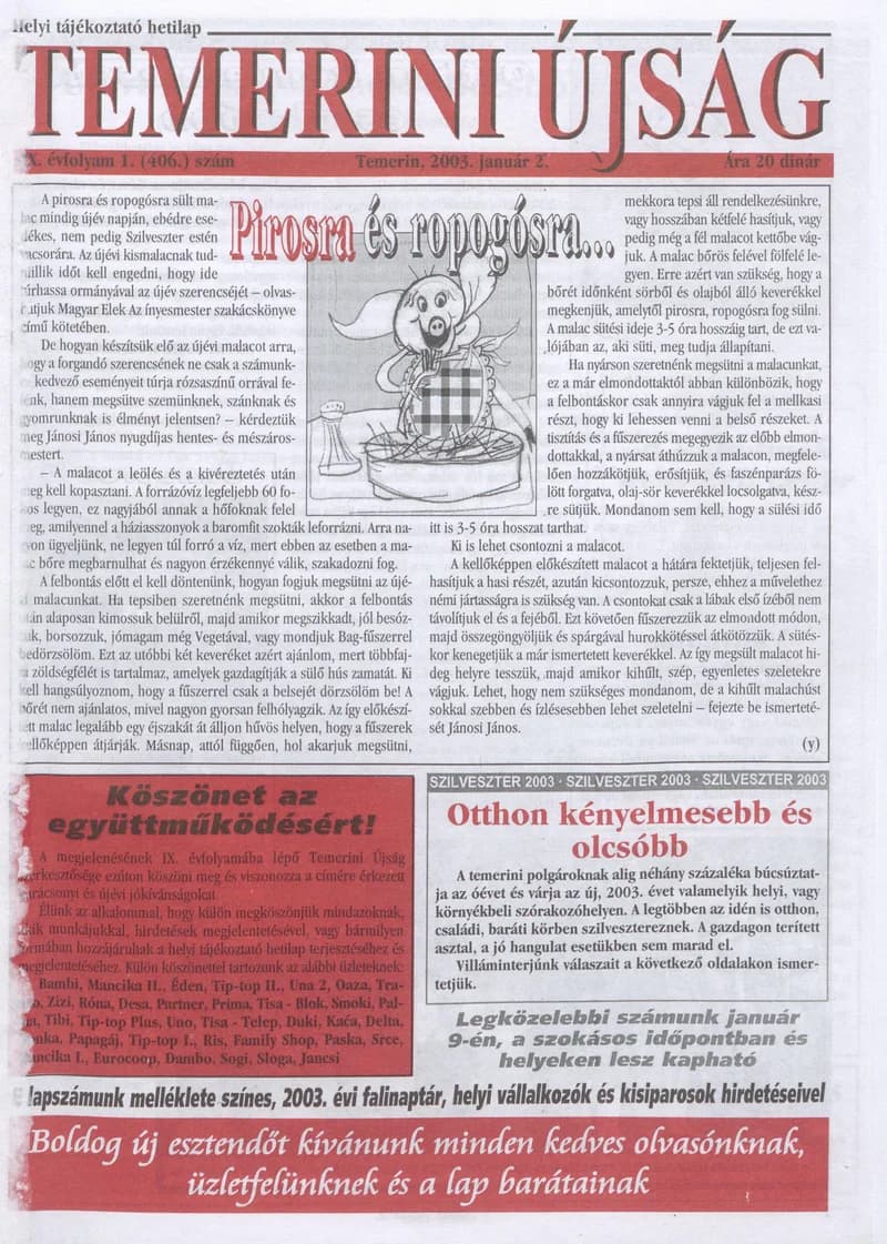 Temerini Újság, 9. évf. 2003. január 2. 1. sz.