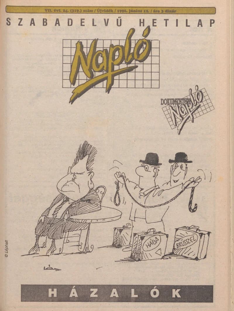 Napló - Szabadelvű hetilap, 7. évf. 1996. június 12. 319. sz.