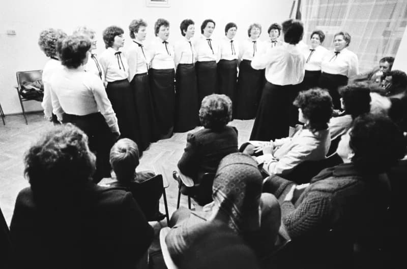 A Tiszavirág Zentán