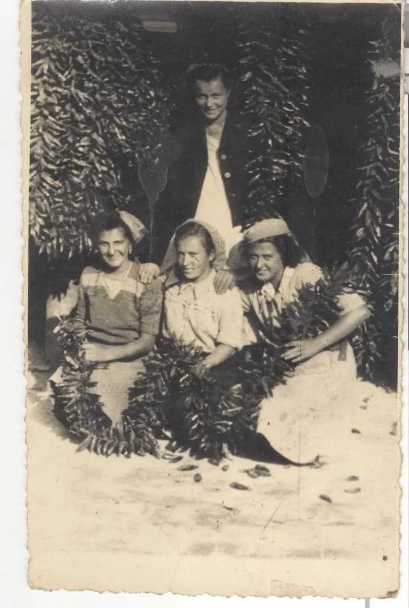 Paprika akasztás (paprikafűzés)