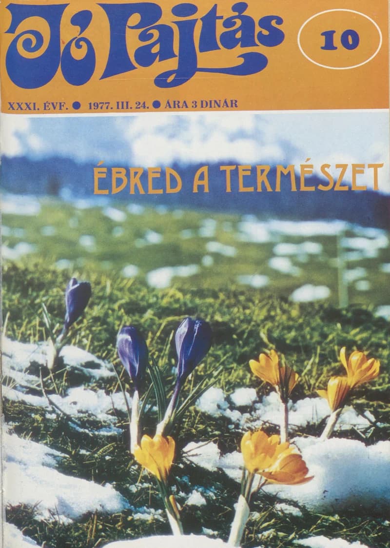 Jó Pajtás, 31. évf. 1977. március 24. 10. sz.