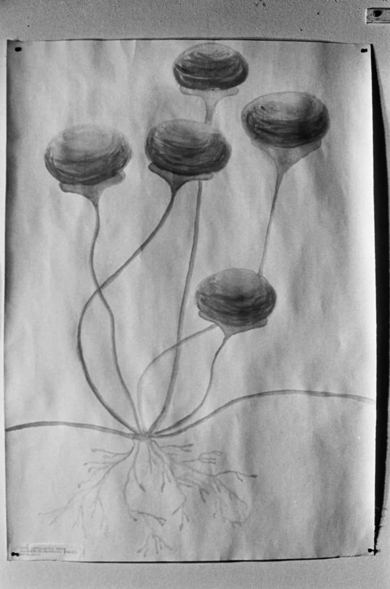 Középiskolások Művészeti Vetélkedője '84