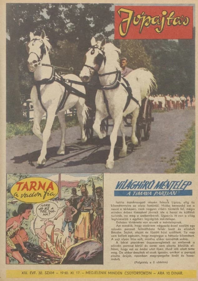 Jó Pajtás, 14. évf. 1960. november 17. 32. sz.