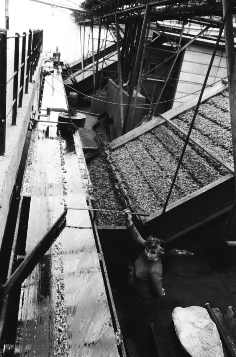 Vitamin Paprikagyár